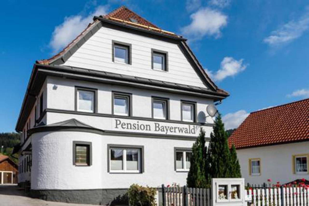 Pension Bayerwald Mit Ferienwohnung Bodenmais Kültér fotó