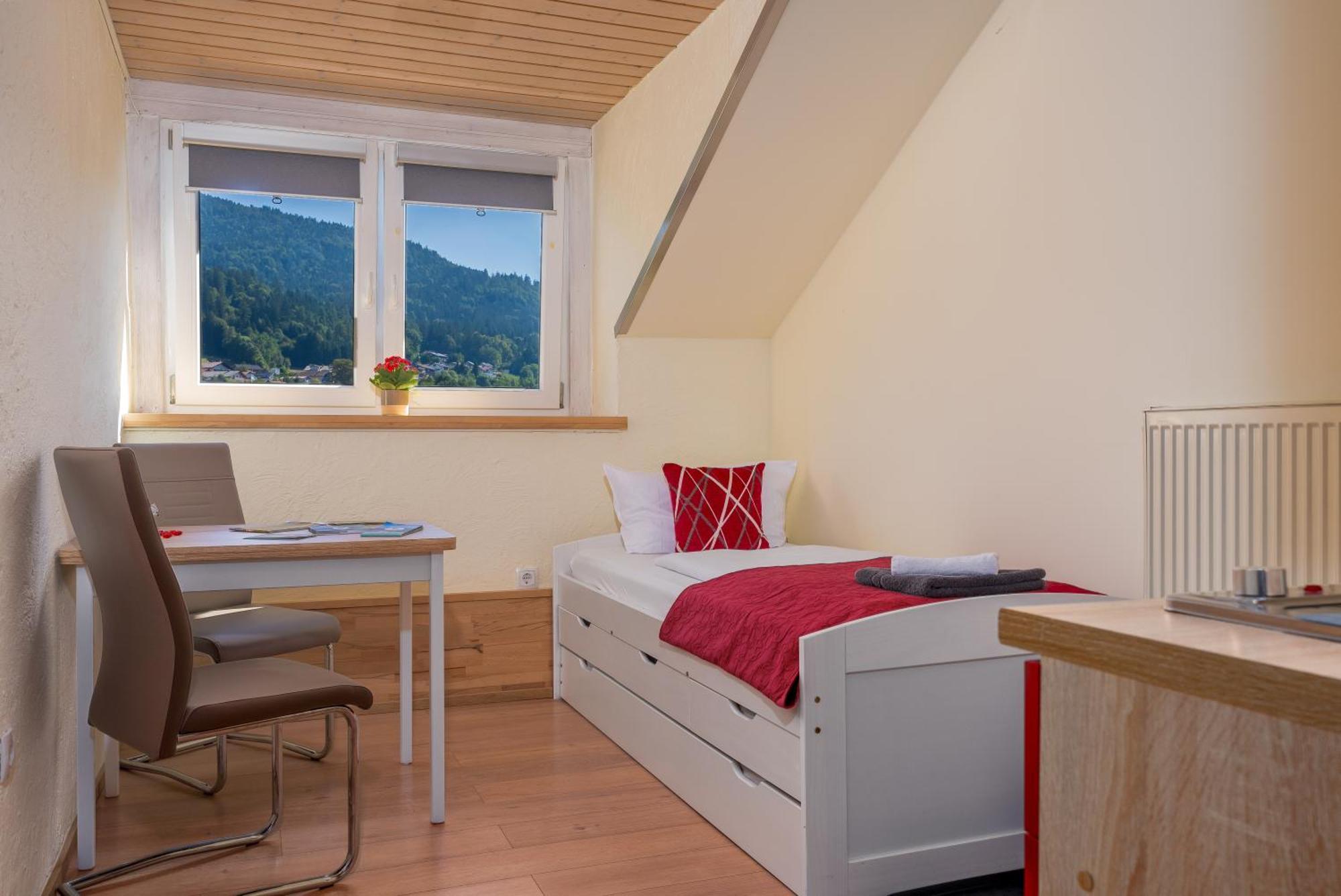 Pension Bayerwald Mit Ferienwohnung Bodenmais Kültér fotó