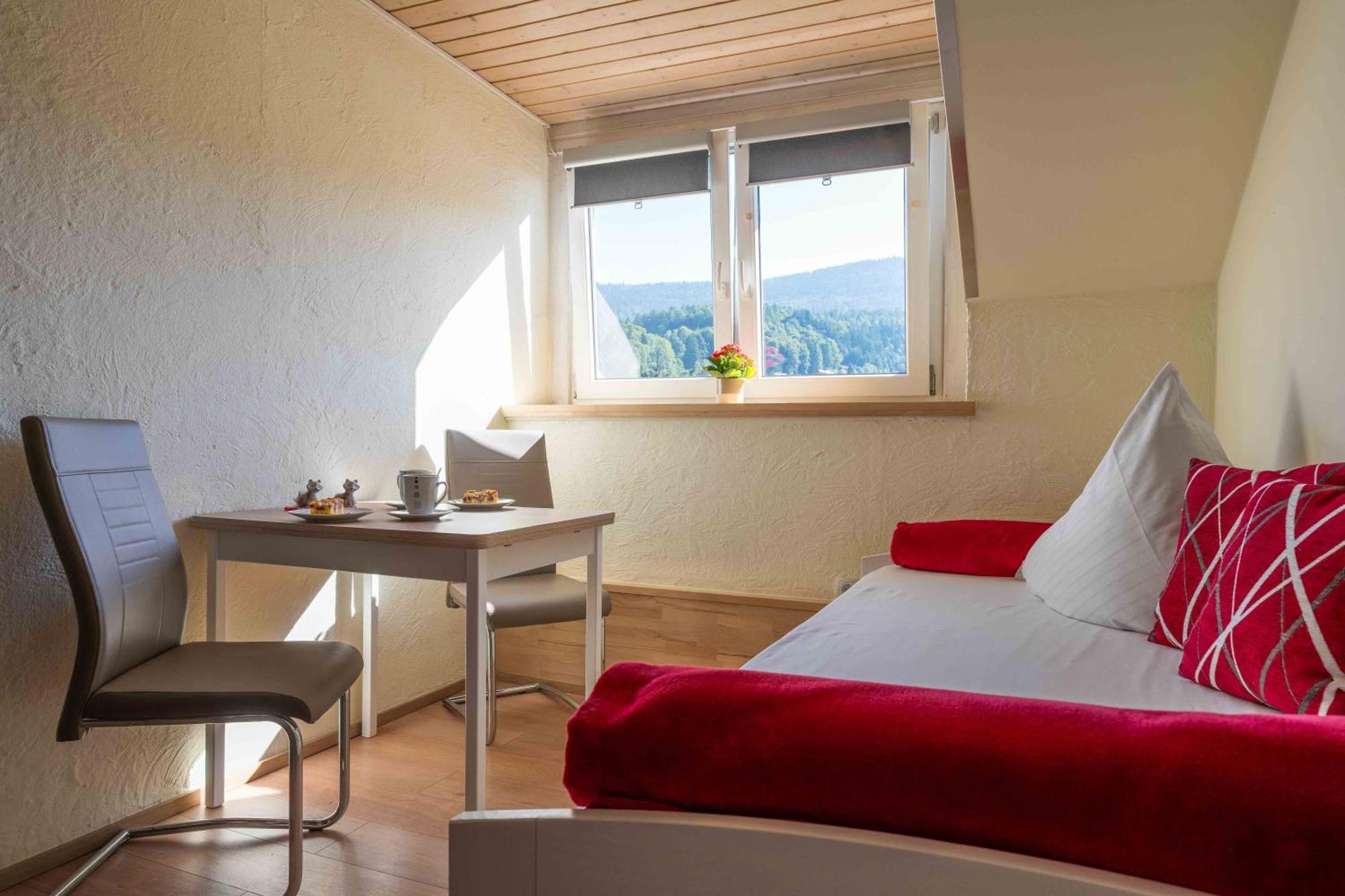 Pension Bayerwald Mit Ferienwohnung Bodenmais Kültér fotó
